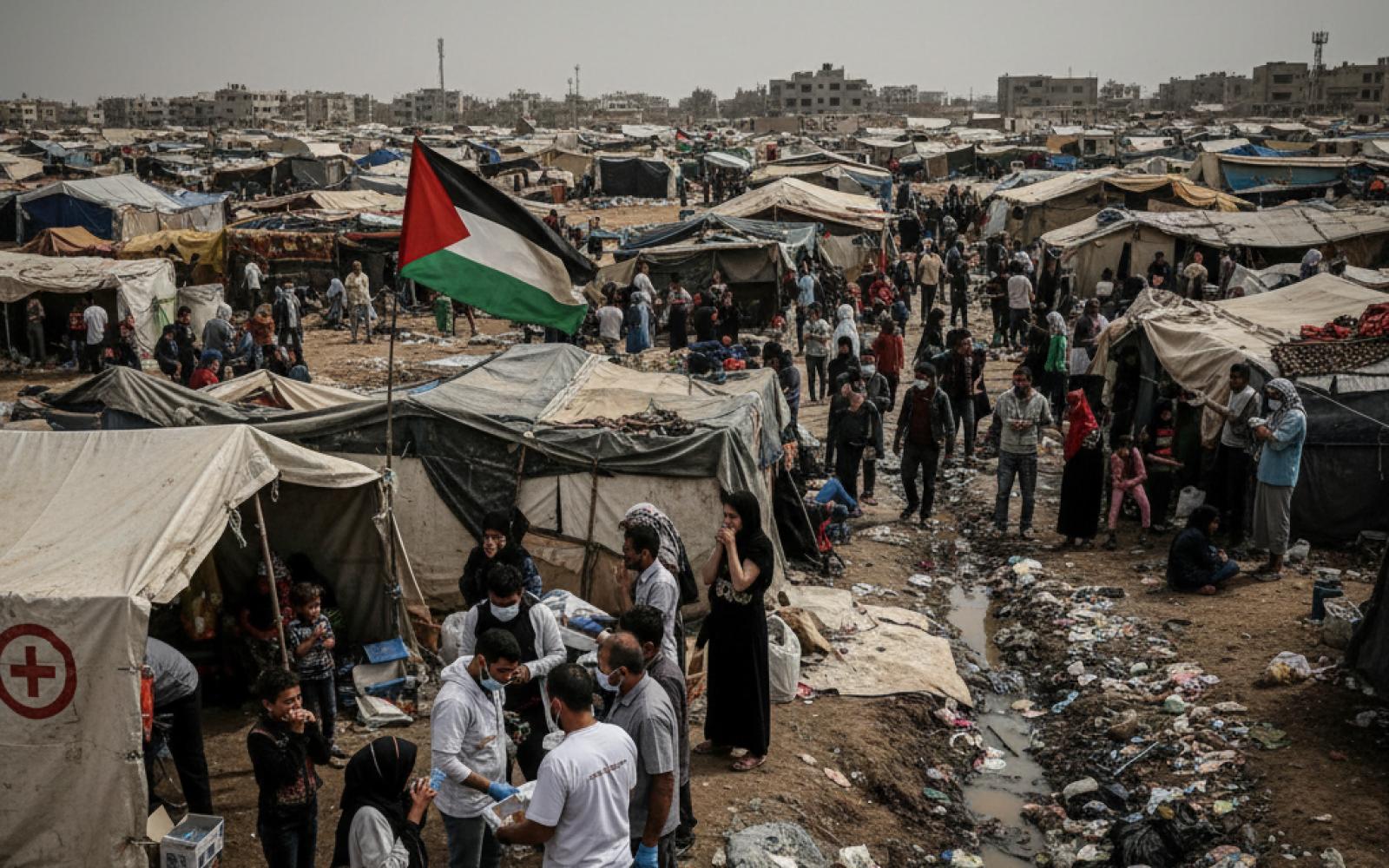 غزة تواجه خطر الأوبئة: القوارض تنتشر والاحتلال يمنع مكافحتها وسط تحذيرات صحية