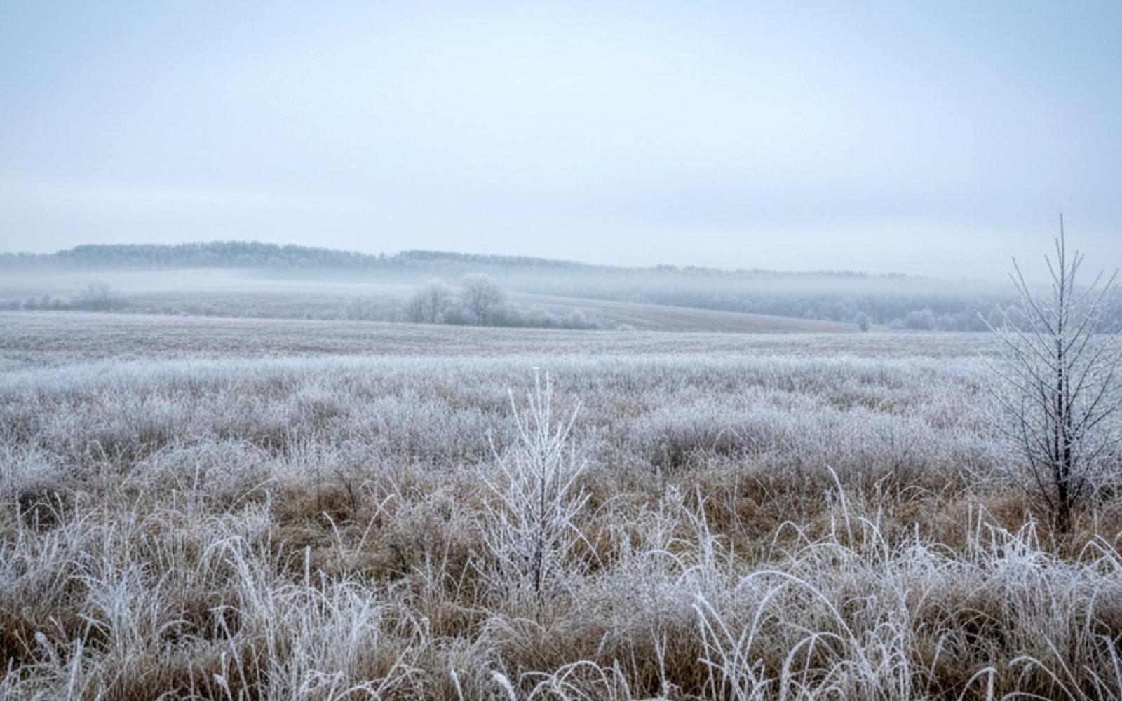 موجة صقيع قاسية تجتاح أوروبا: تعطيل واسع للسفر ووفيات في فرنسا الثلاثاء