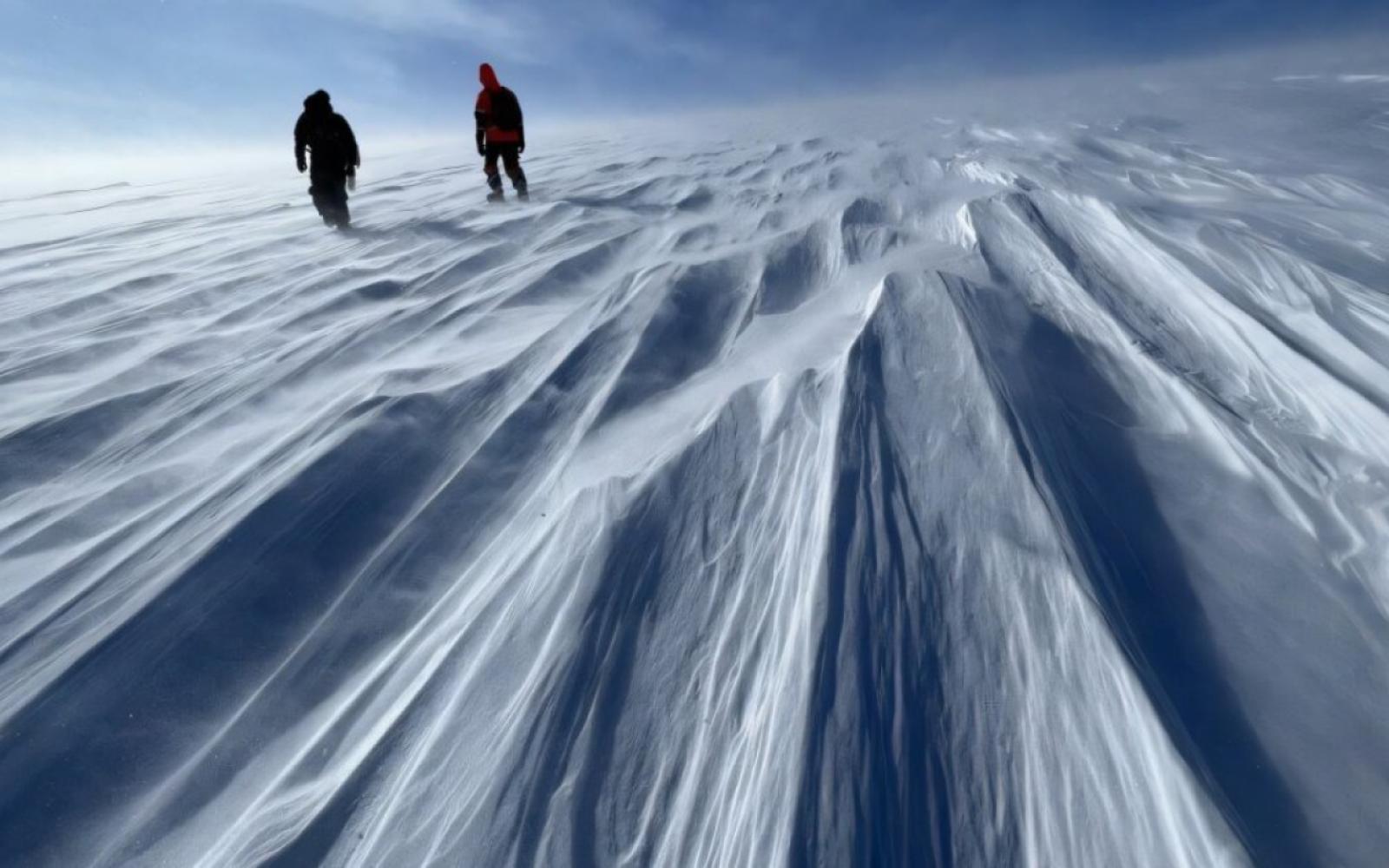 دراسة تكشف: غرينلاند كانت خضراء قبل آلاف السنين.. فهل يعود زمن الخضرة؟