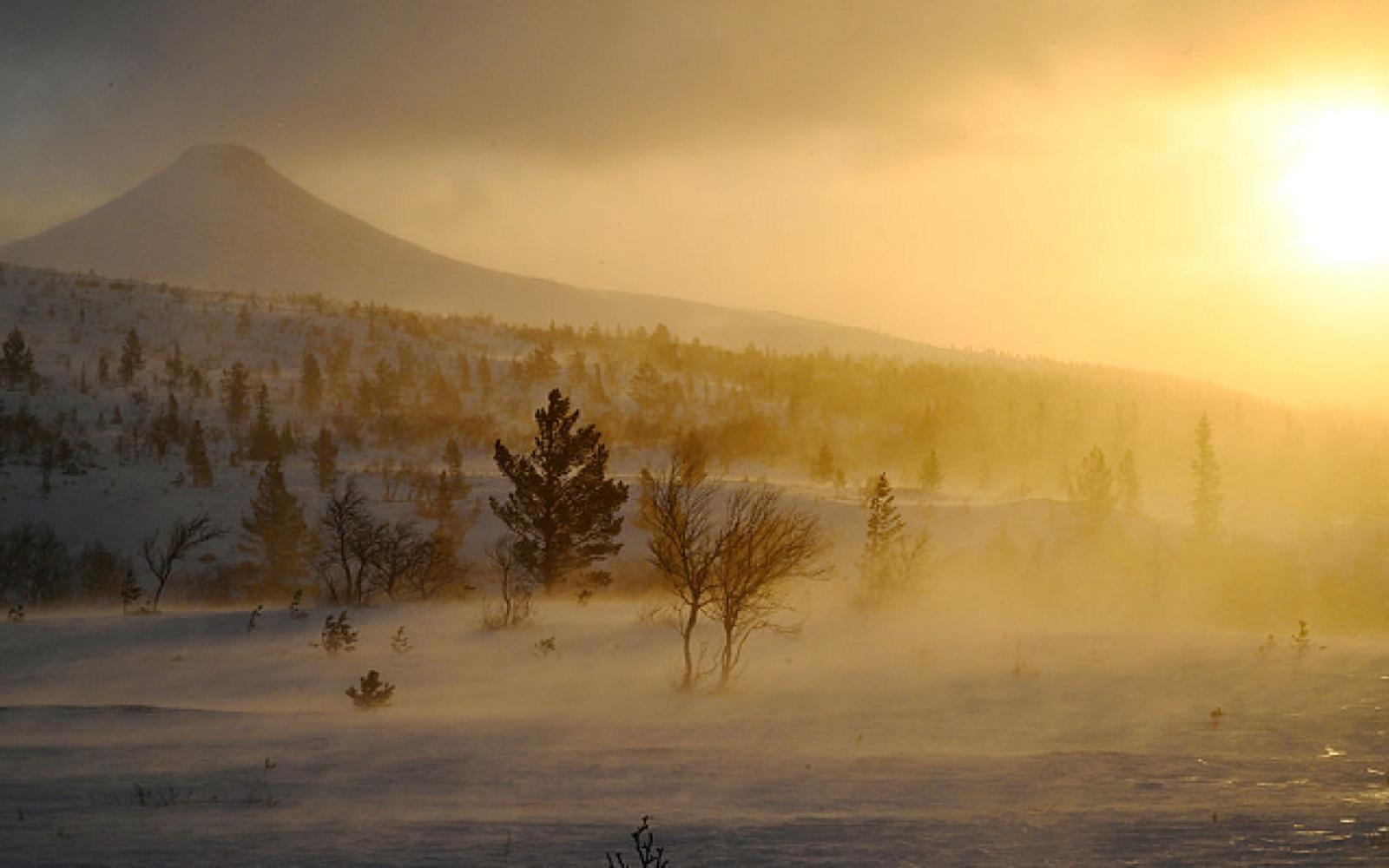 النرويج تسجل عامها الأكثر حرارة على الإطلاق في سابقة تاريخية مؤكدة تسارع التغير المناخي