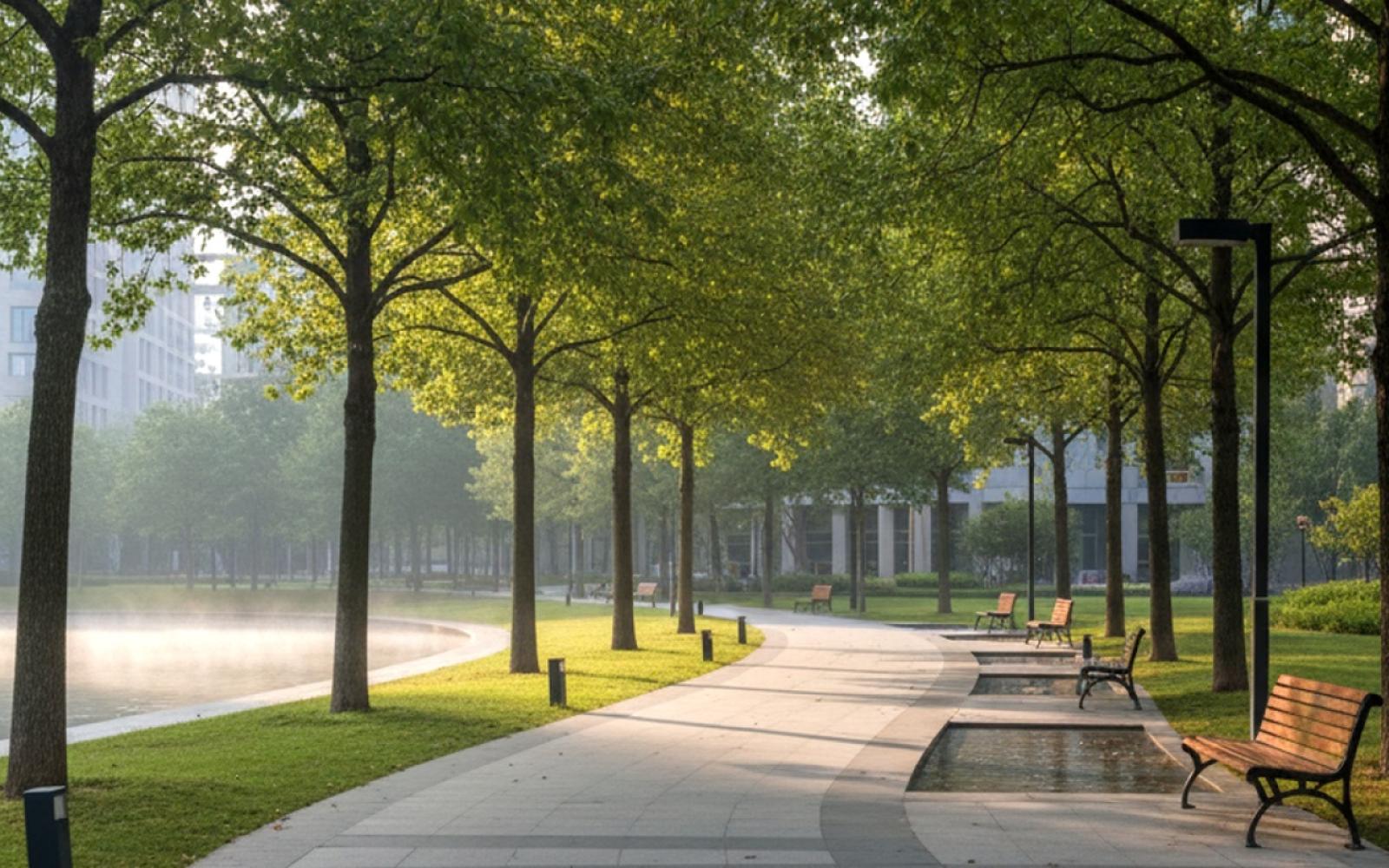 الرباط تشهد انتعاشاً اقتصادياً كبيراً بفضل تدفق جماهير كأس الأمم الأفريقية