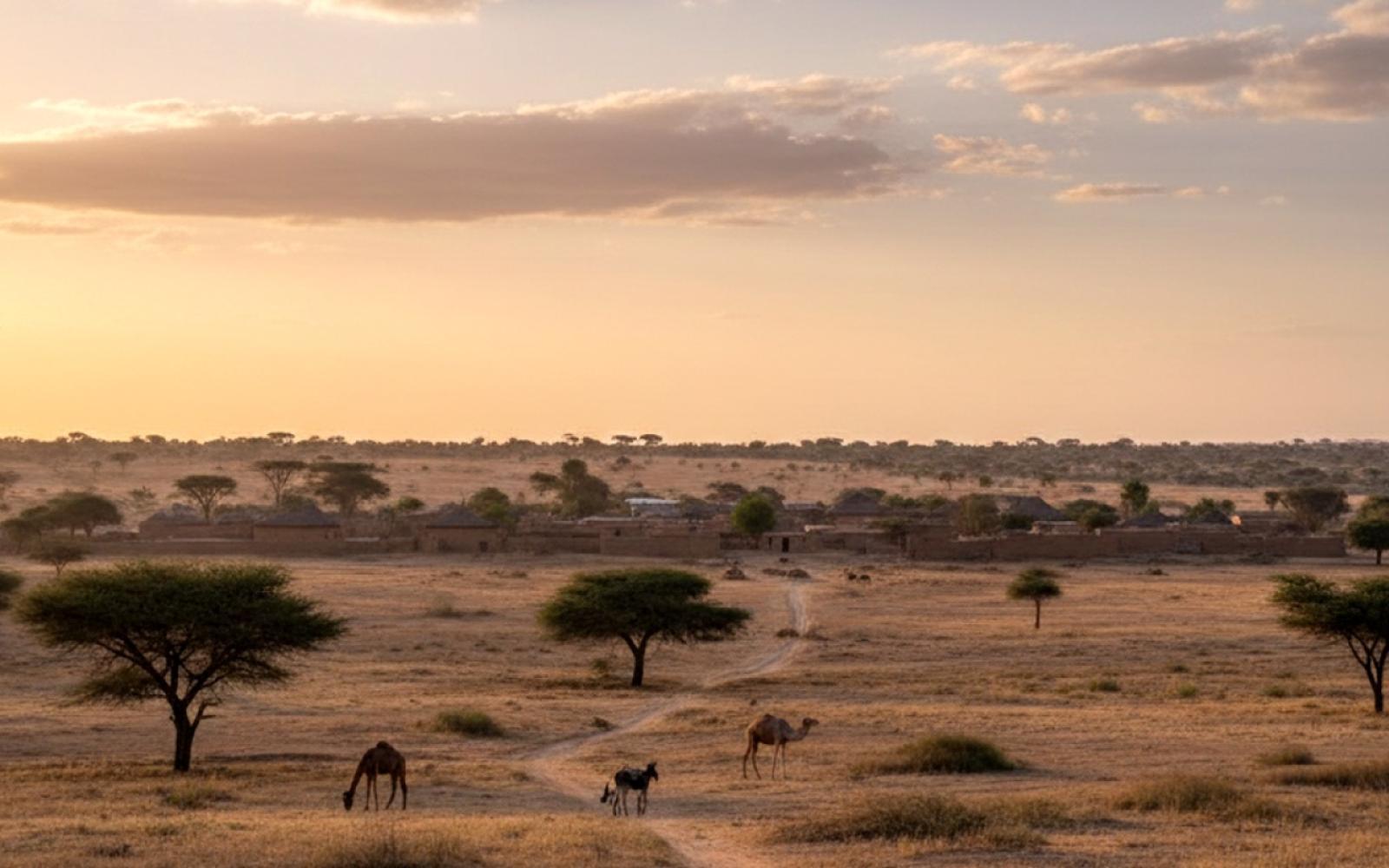 إقليم كردفان: السودان المصغر وموقعه الاستراتيجي كمركز تجاري وتاريخي