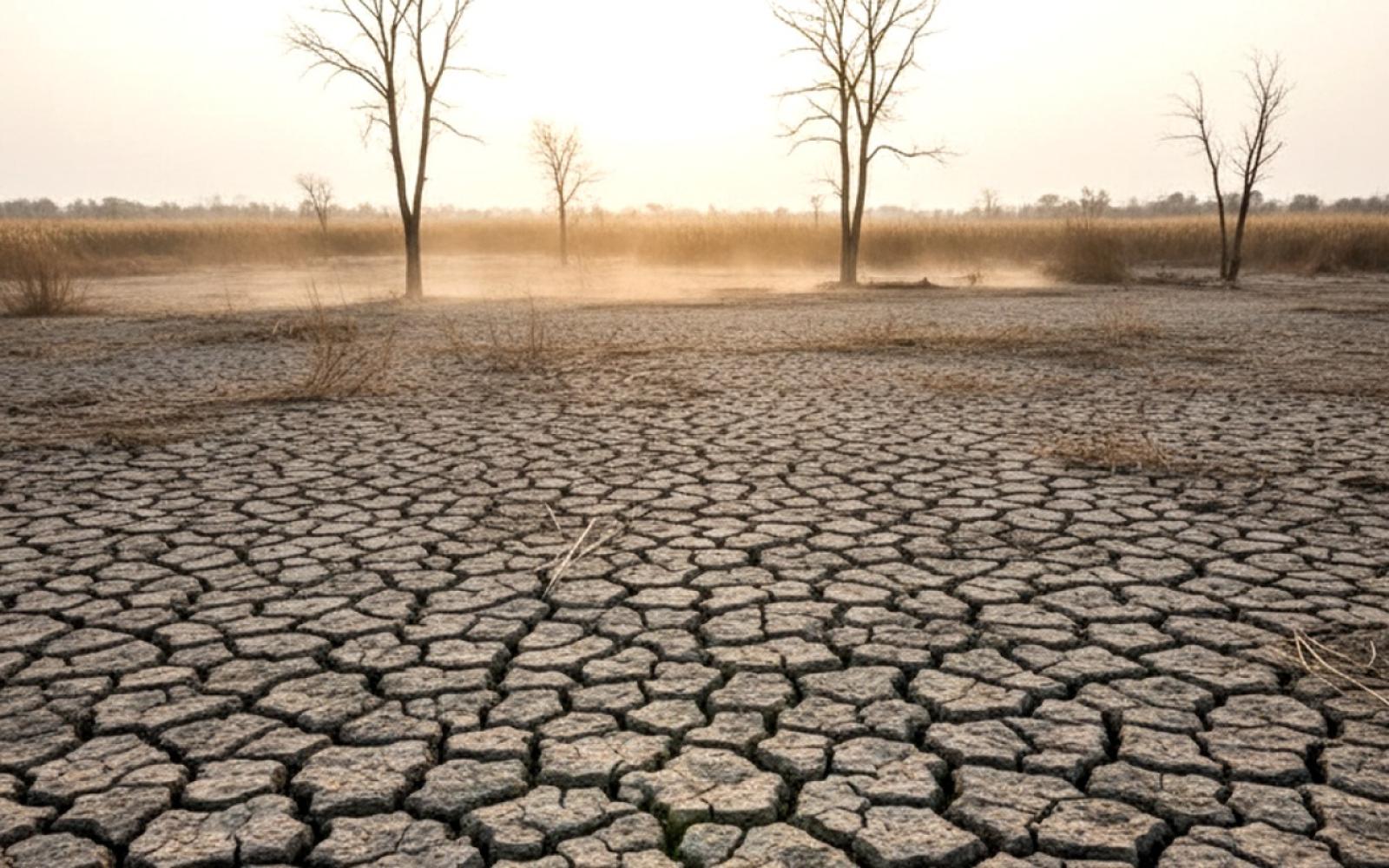 موسم الجفاف يذكي صراعات المراعي والمياه ويهدد استقرار جنوب السودان