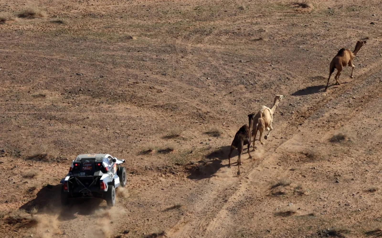 رالي داكار: العطية يحافظ على وصافة الترتيب العام رغم تحديات المرحلة الخامسة الماراثونية