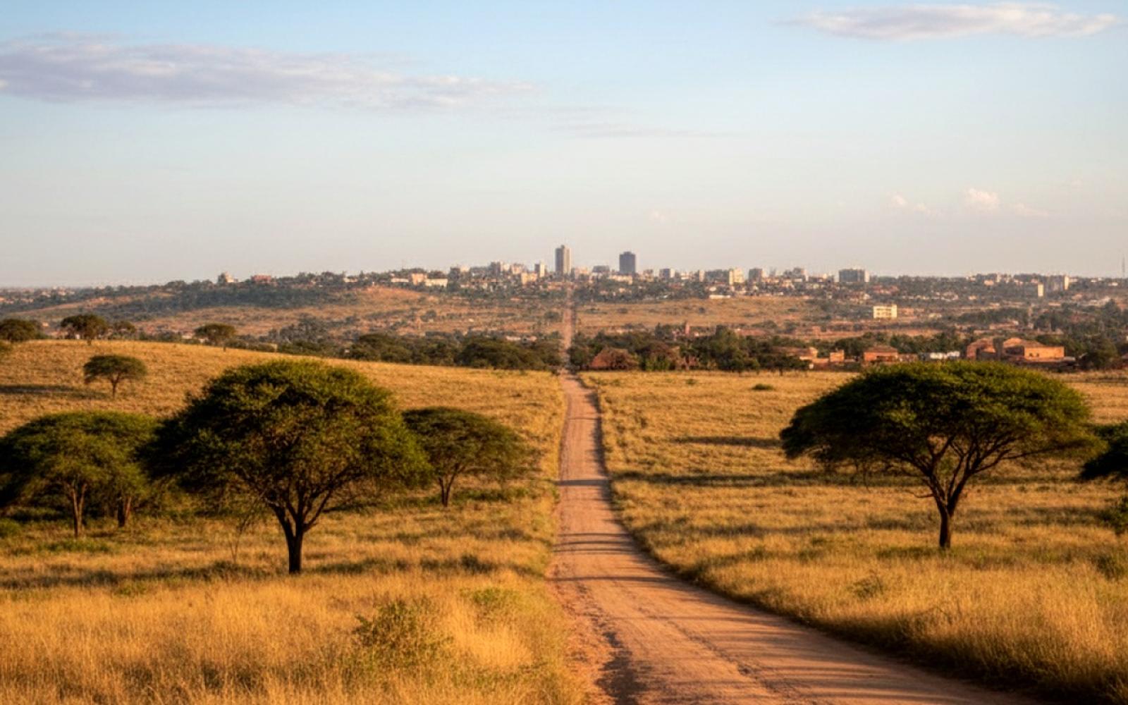 نيجيريا تتنفس الصعداء: حل أزمة مكافآت اللاعبين قبل ربع نهائي أمم أفريقيا