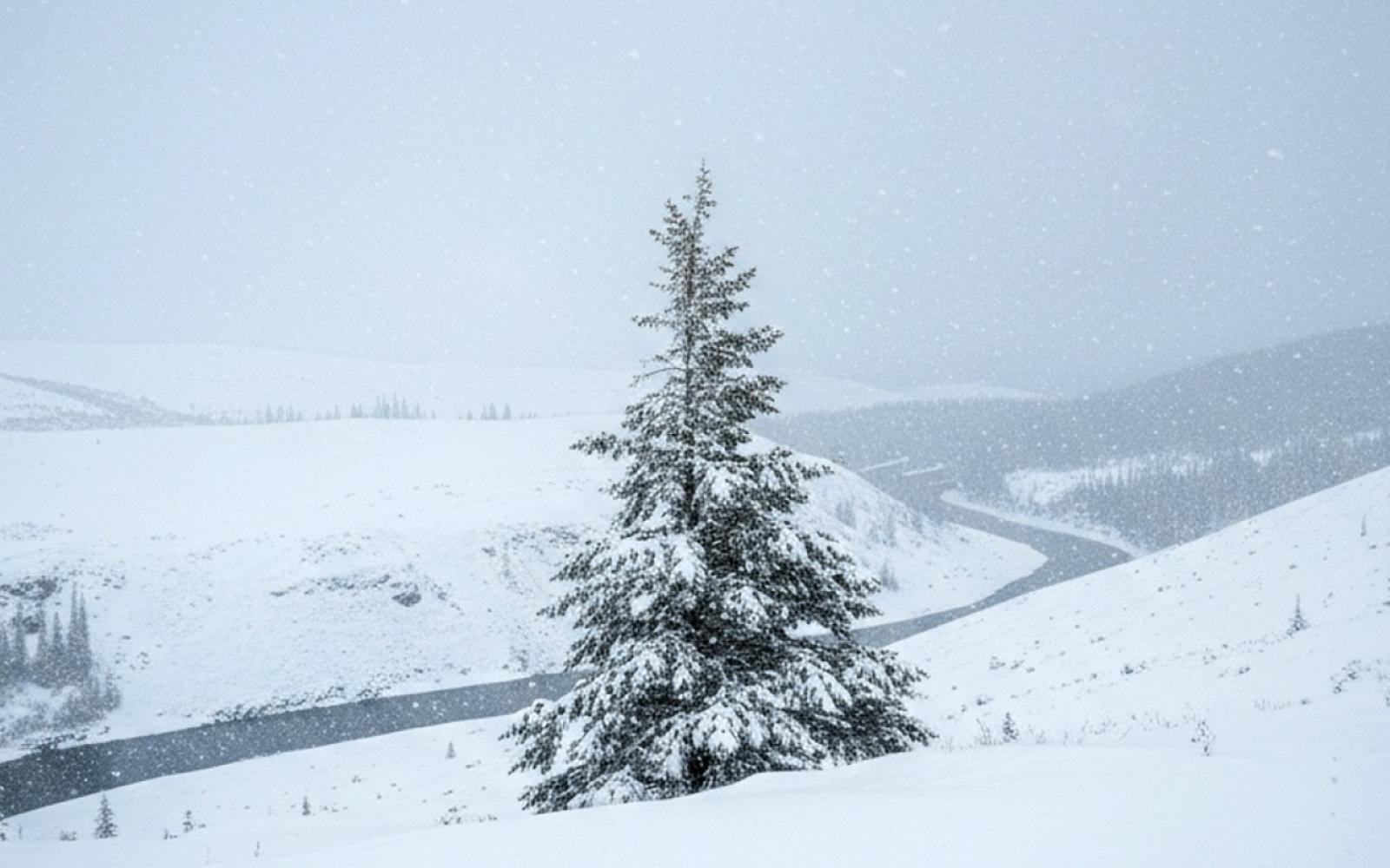 عاصفة ثلجية نادرة تشل فرنسا وتعيق تعافي اقتصادها وسط اضطرابات واسعة