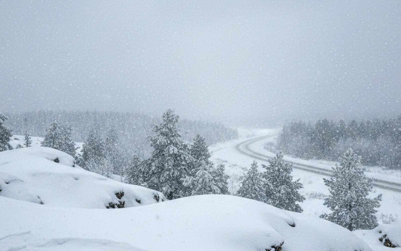 عاصفة "إيلي" الثلجية تؤجل قمة سانت باولي ولايبزيغ وتجمد الملاعب الألمانية