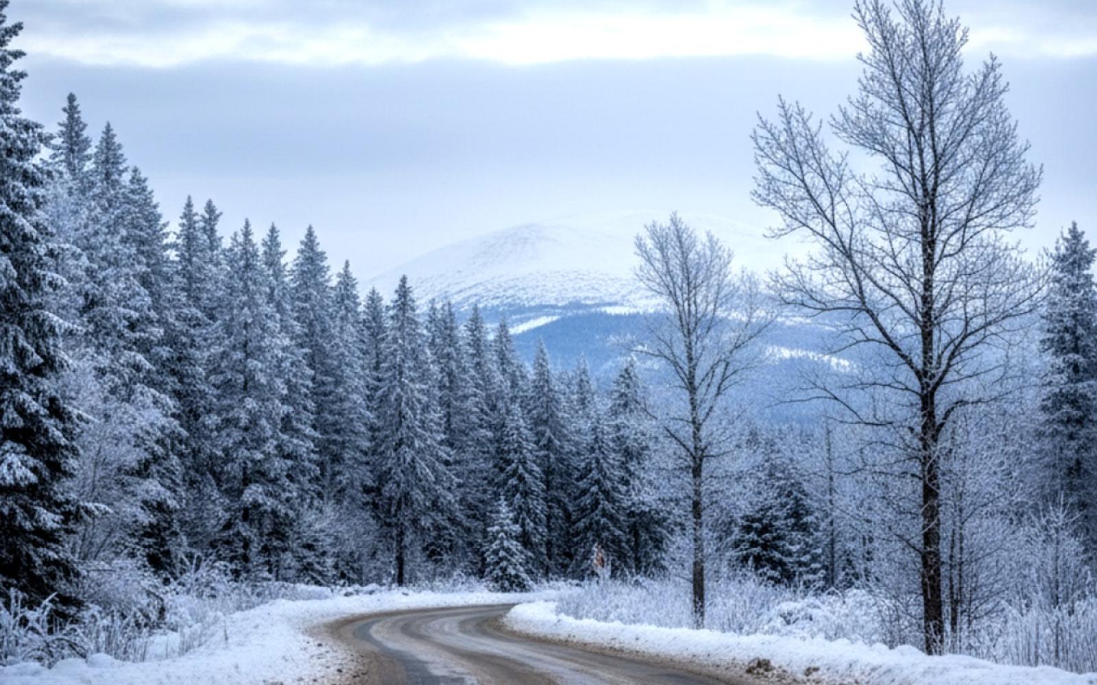 الصليب الأحمر الألماني يحذر: الشتاء يفاقم كارثة غزة الإنسانية ونقص المساعدات يهدد حياة الآلاف