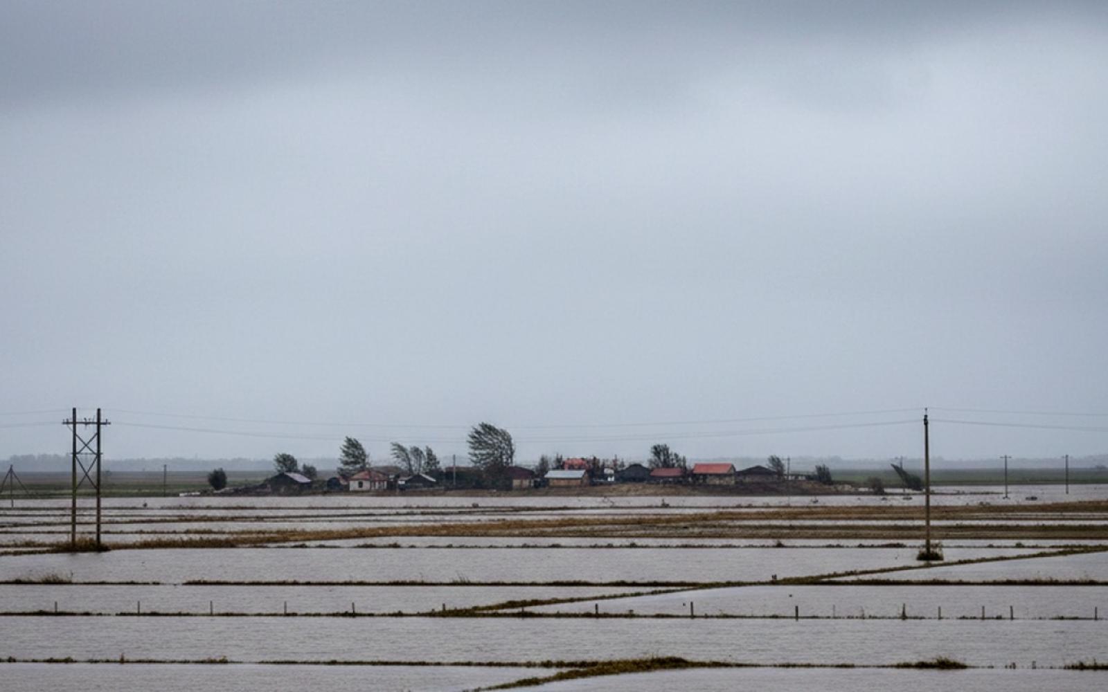 البرد يفتك برضيع في غزة والمنخفض الجوي يفاقم معاناة النازحين بالقطاع