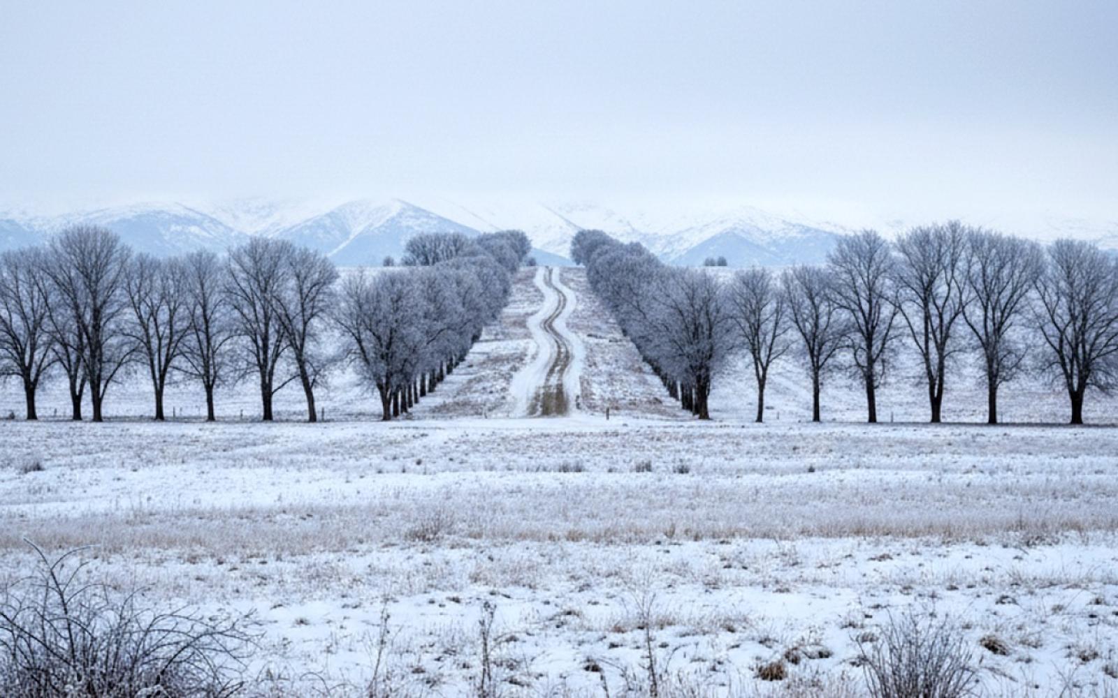 شتاء غزة القارس يحصد أرواح 21 نازحاً بينما تتوج شخصية عربية بلقب الأكثر تأثيراً