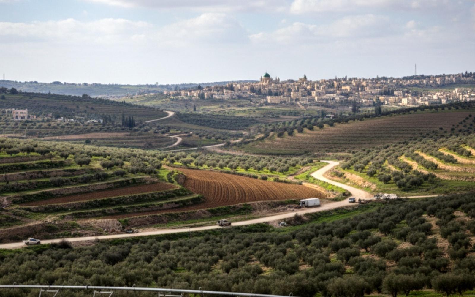 "نور طوباس" يشع أملاً: أكبر محطة شمسية تعزز أمن فلسطين الطاقي