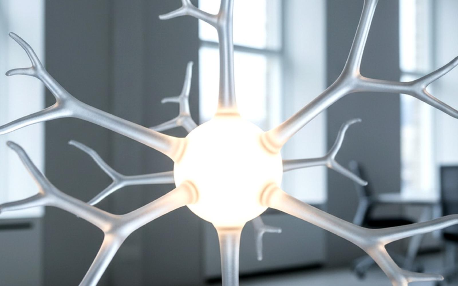 واشنطن تصنف فروعاً للإخوان في الأردن ومصر ولبنان منظمات إرهابية وتفرض عقوبات