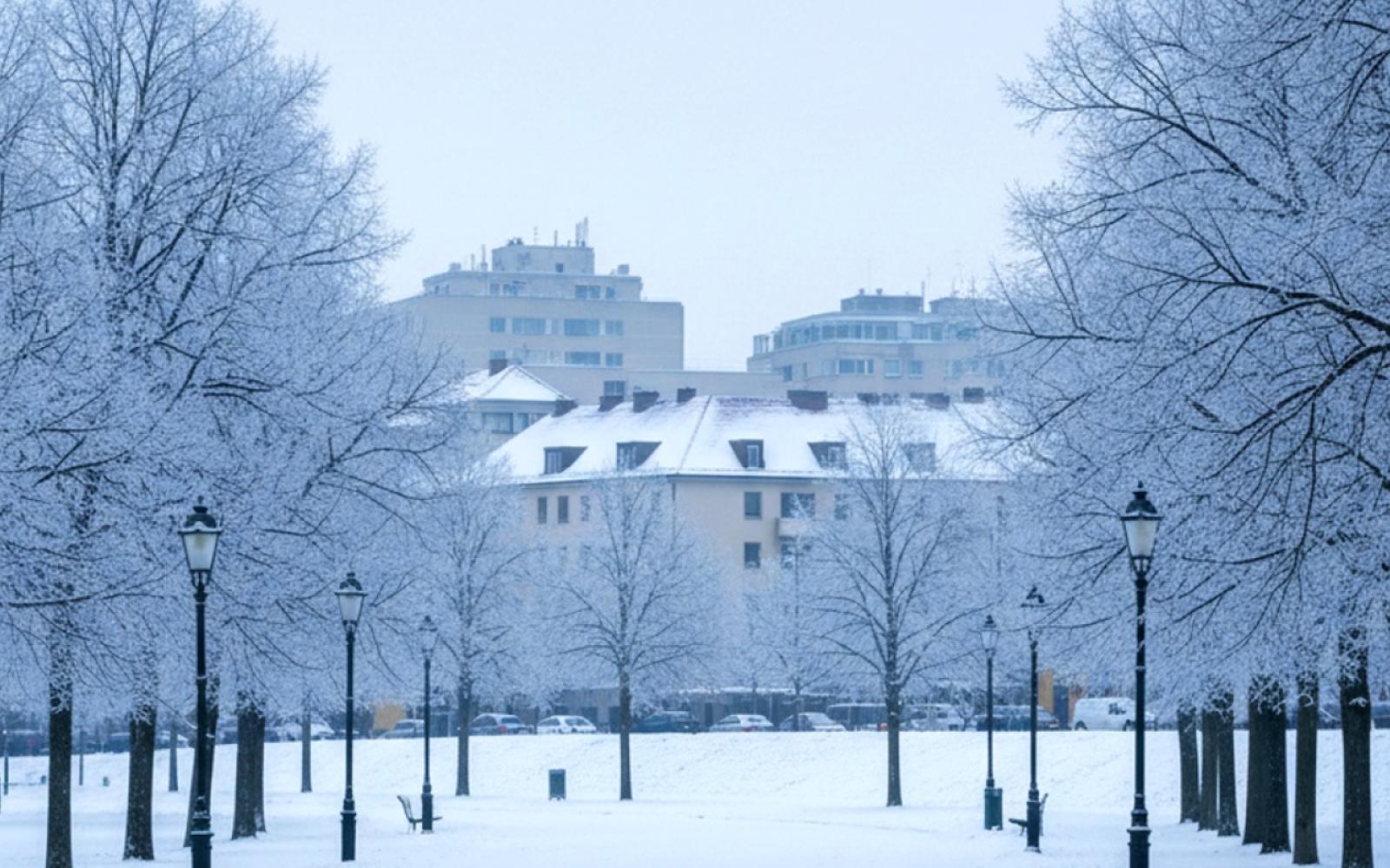 زينة موسكو الشتوية ليست مجرد جمال: خبيرة نفسية تؤكد دورها في تحسين المزاج وتخفيف التوتر