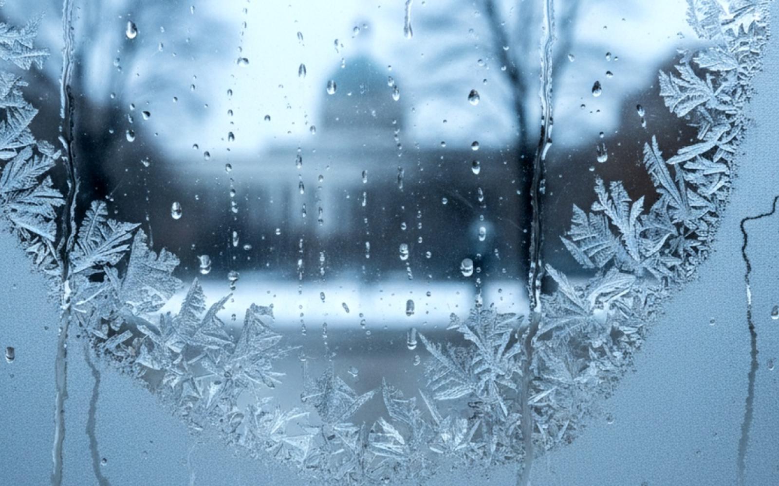 واشنطن تجمد إجراءات التأشيرات لـ75 دولة بينها 13 عربية وسط تشديد الهجرة